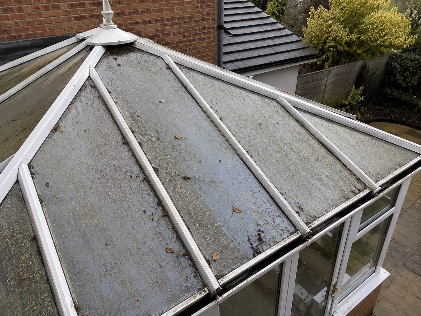 Conservatory roof covered in moss and algae before cleaning